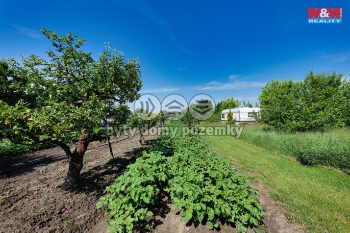 Prodej, Zahrada, 1810 m², Němčice nad Hanou