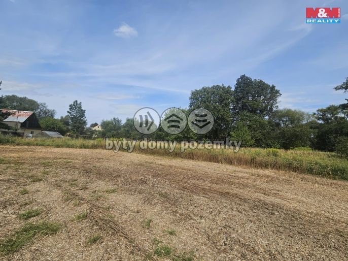 Prodej, Louka, Krnov