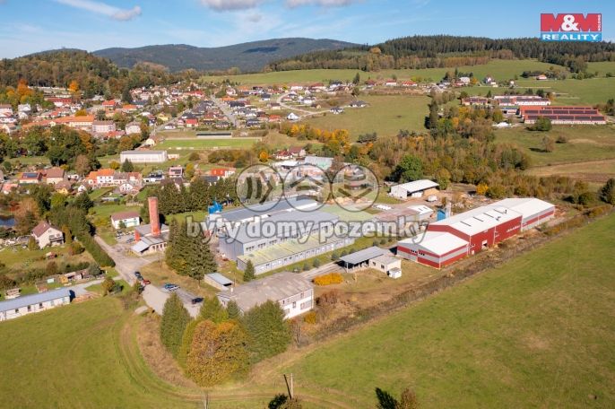 Prodej, Kancelářský prostor, Horní Planá