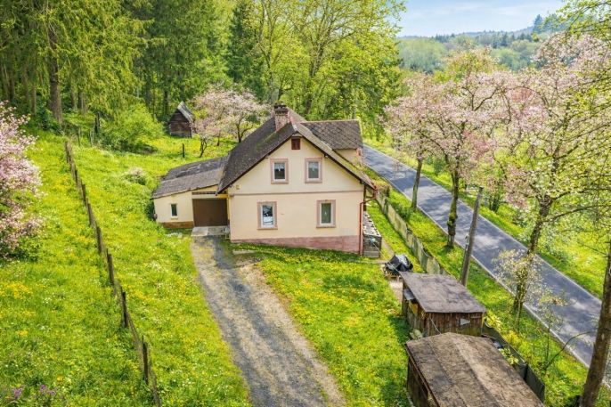 Prodej, Rodinný dům, Podhradí