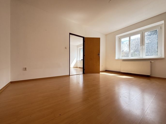 Prodej, Byt 2+1, Havlíčkova Borová