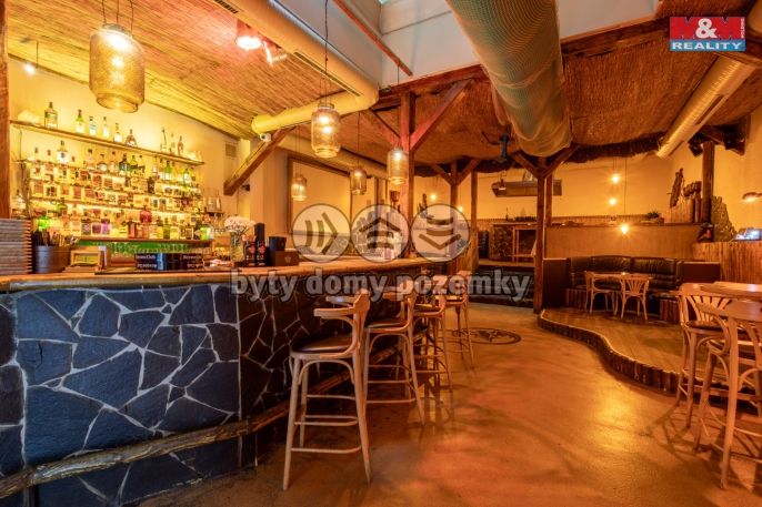 Prodej, Restaurace, stravování, Karlovy Vary