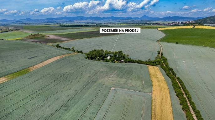 Prodej, Les, Libochovice