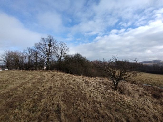 Prodej, Louka, Budišov nad Budišovkou