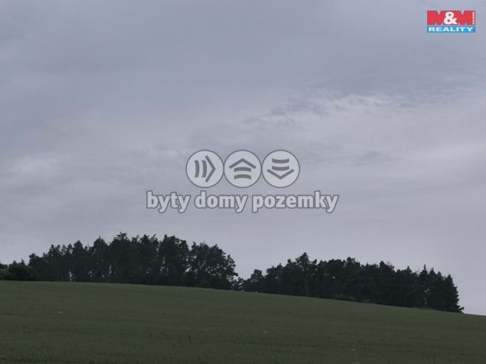 Prodej, Les, Střelské Hoštice