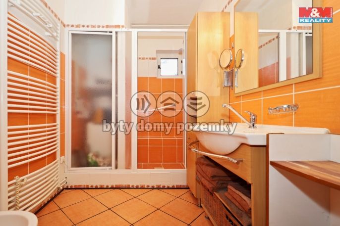 Prodej, Chalupa, Bořetice