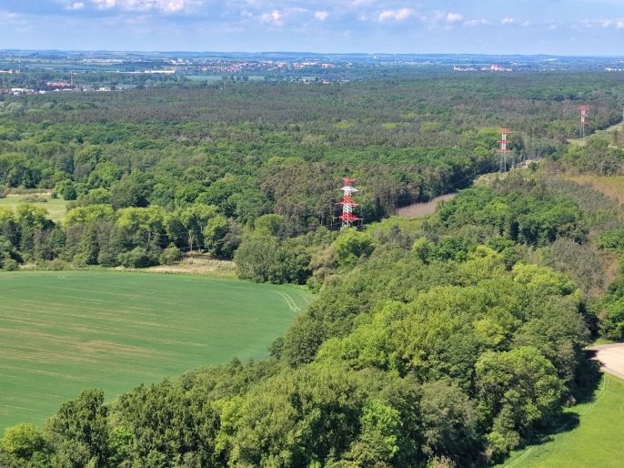 Prodej, Les, Lysá nad Labem