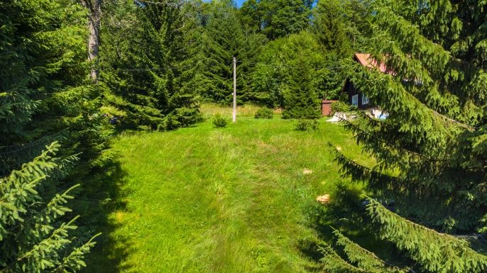 Prodej, Pozemek k bydlení, Kořenov