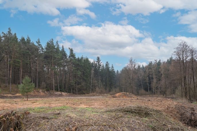 Prodej, Pozemek k bydlení, Cheb