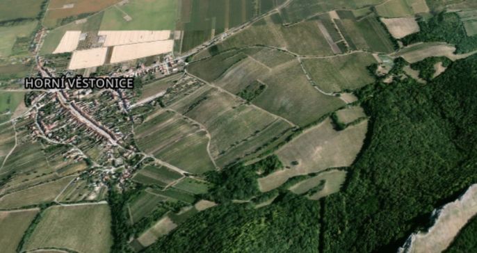 Prodej, Vinice, Horní Věstonice