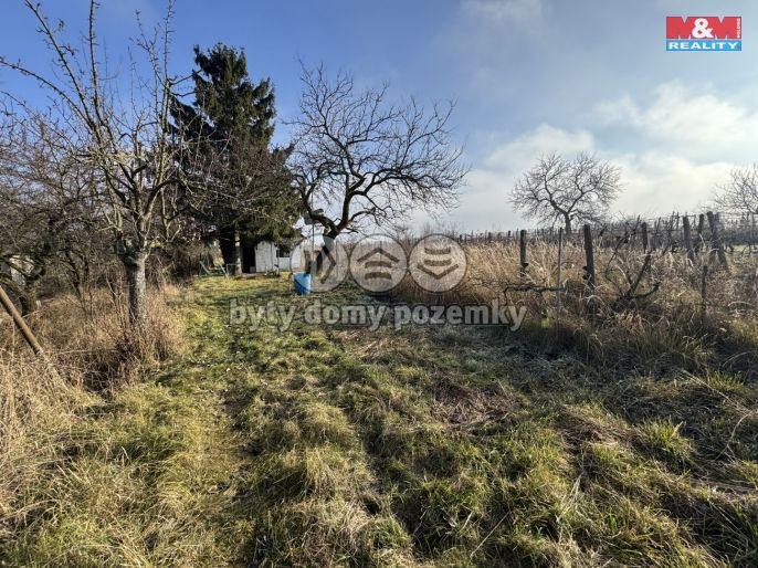 Prodej, Chata, Hrušovany u Brna