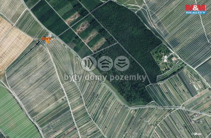 Prodej, Pole, Dolní Bojanovice