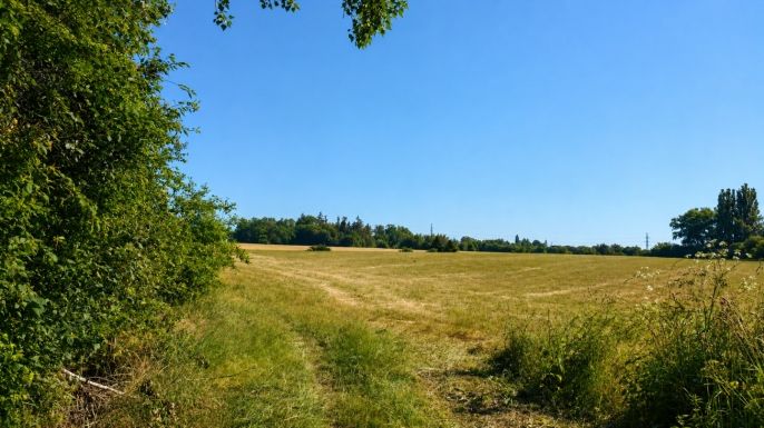 Prodej, Ostatní, Unhošť