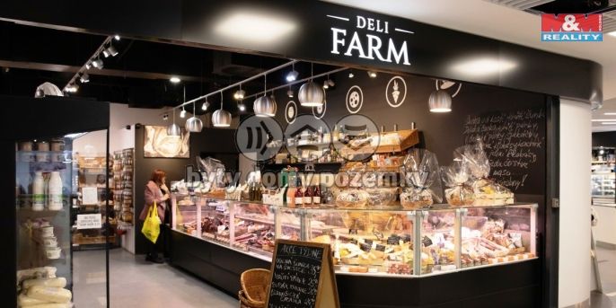 Pronájem, Obchod a služby, Praha