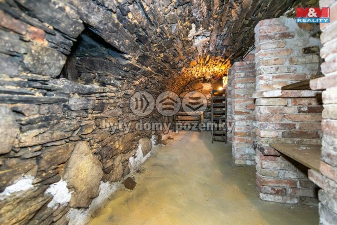 Pronájem, Rodinný dům, Pasečnice