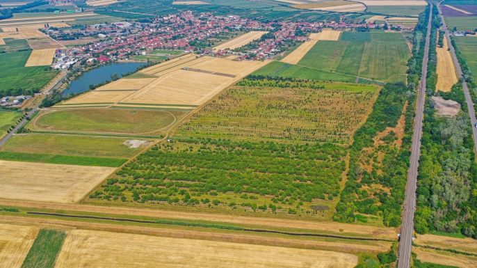 Prodej, Ovocný sad, Rakvice