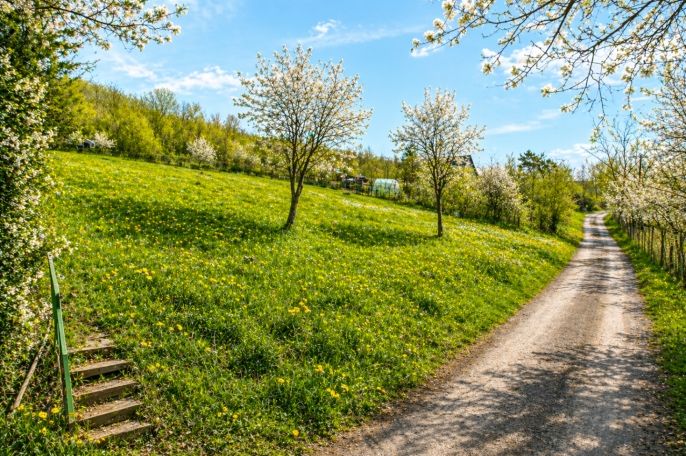 Prodej, Zahrada, Postoloprty