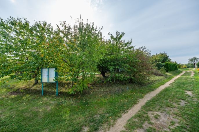 Prodej, Zahrada, Mladá Boleslav