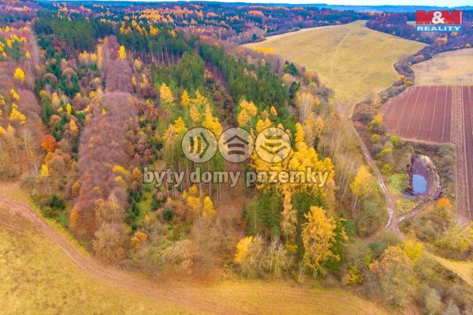 Prodej, Les, Tuchořice