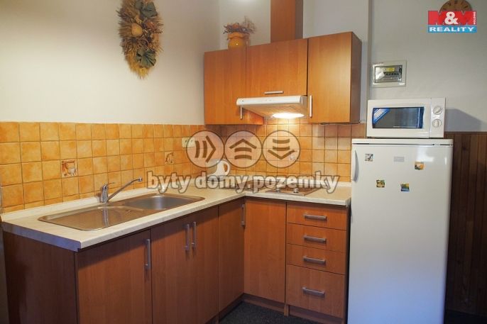 Prodej, Hotel, penzion, Benešov nad Černou