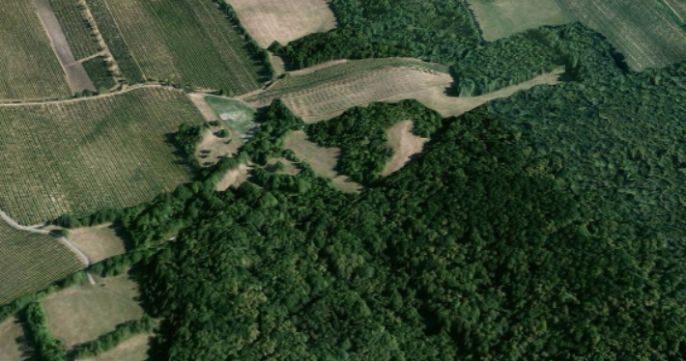 Pronájem, Vinice, Horní Věstonice