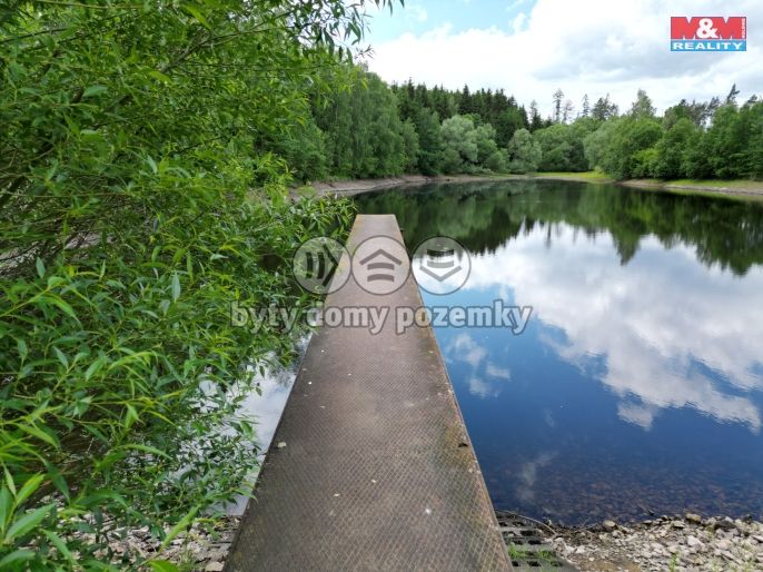 Prodej, Vodní plocha, Vílanec