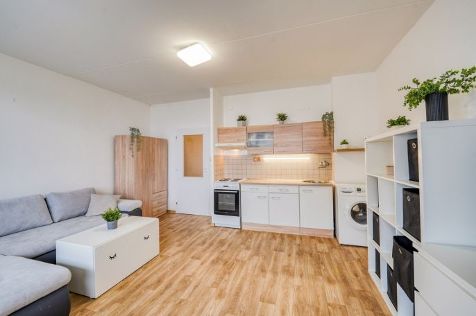 Pronájem, Byt 1+kk, Plzeň