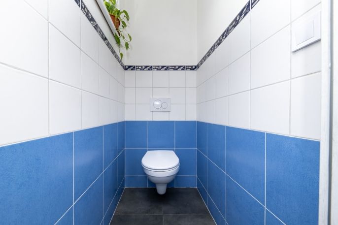 Prodej, Rodinný dům, Holubice