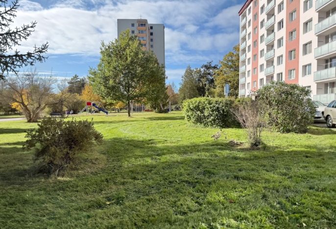 Pronájem, Byt 2+1, Česká Lípa