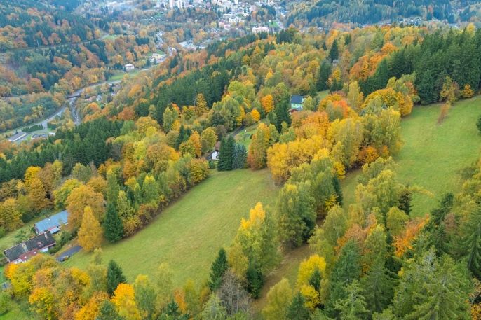 Prodej, Louka, Tanvald