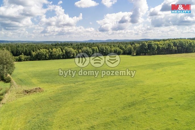 Prodej, Pole, Přimda