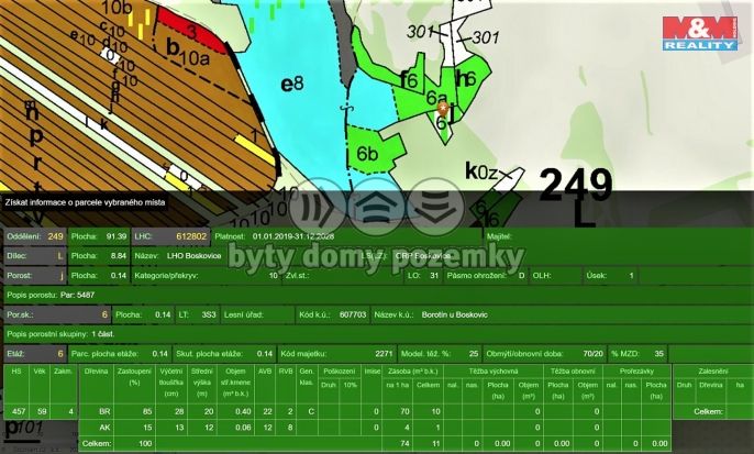 Prodej, Les, Borotín