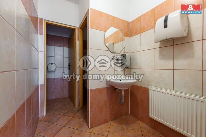 Prodej, Hotel, penzion, Františkovy Lázně