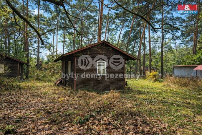 Prodej, Chata, Loučeň