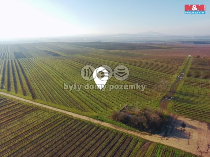 Prodej, Vinice, Velké Bílovice