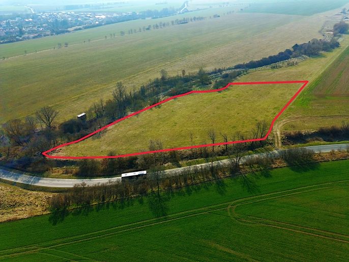 Prodej, Pole, Kladruby