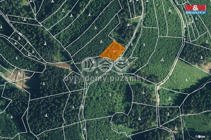 Prodej, Les, Lhota u Vsetína