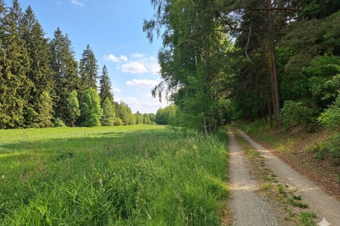 Prodej, Louka, Bor
