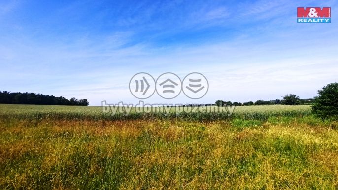 Prodej, Pole, Měnín