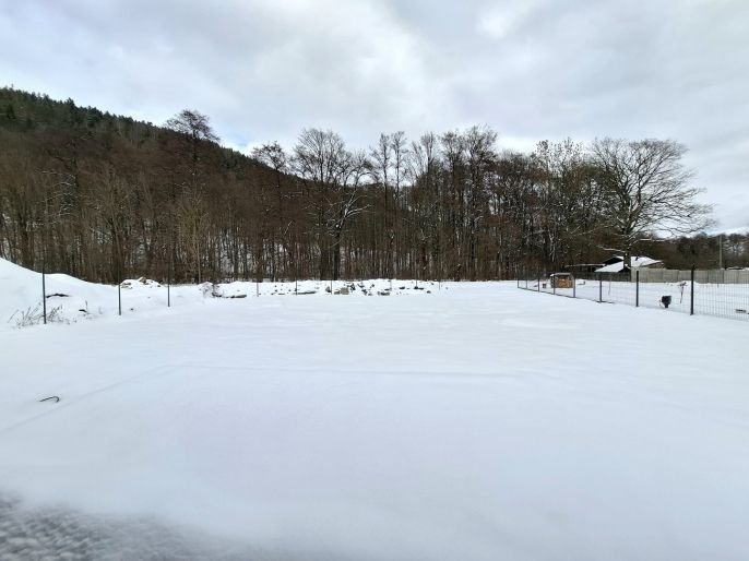 Pronájem, Rodinný dům, Hroznětín