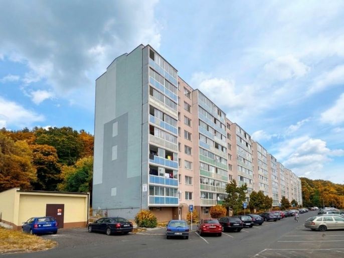 Prodej, Byt 4+1, Litvínov