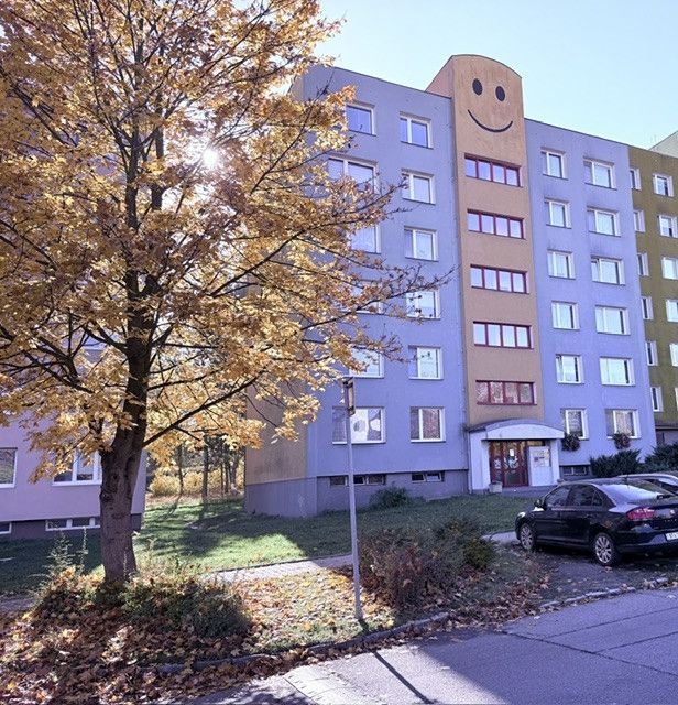 Pronájem, Byt 1+1, Ostrava