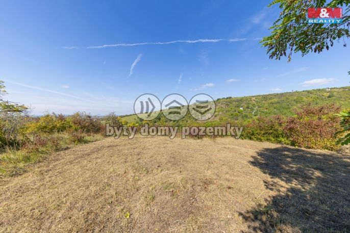 Prodej, Zahrada, Židlochovice