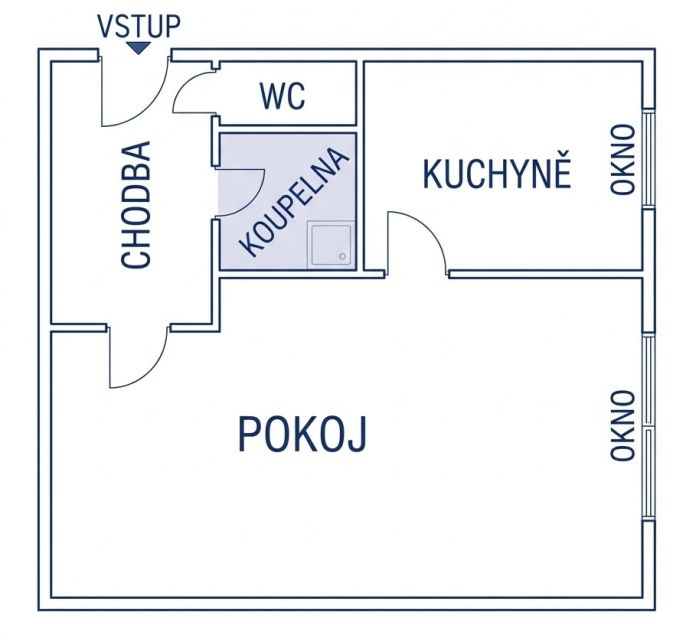 Prodej, Byt 1+1, Ostrava
