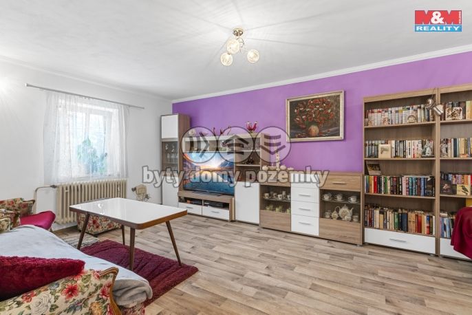 Prodej, Obchodní objekt, Žandov