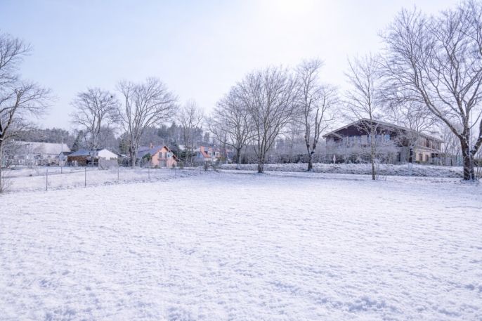 Prodej, Zahrada, Nespeky