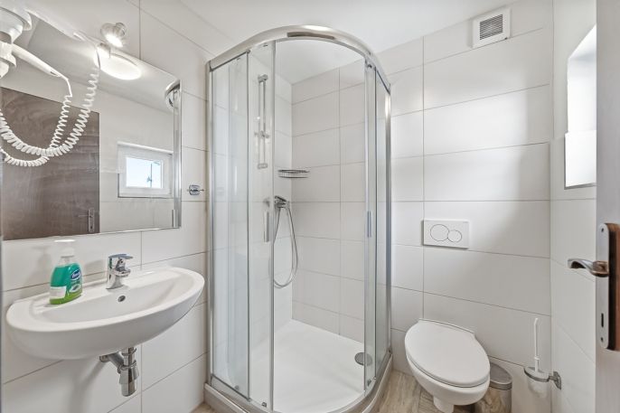 Prodej, Hotel, penzion, Čenkovice