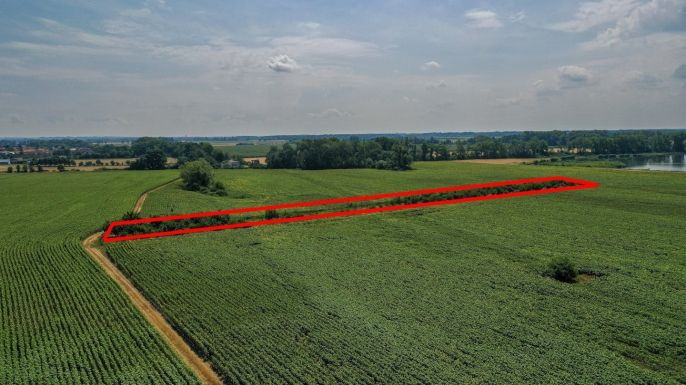 Prodej, Ovocný sad, Zaječí