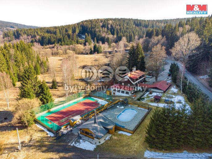 Prodej, Hotel, penzion, Bartošovice v Orlických horách