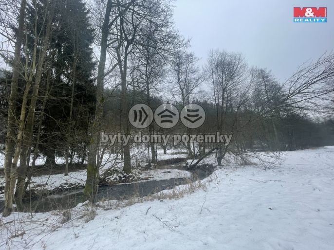 Prodej, Les, Příkrý